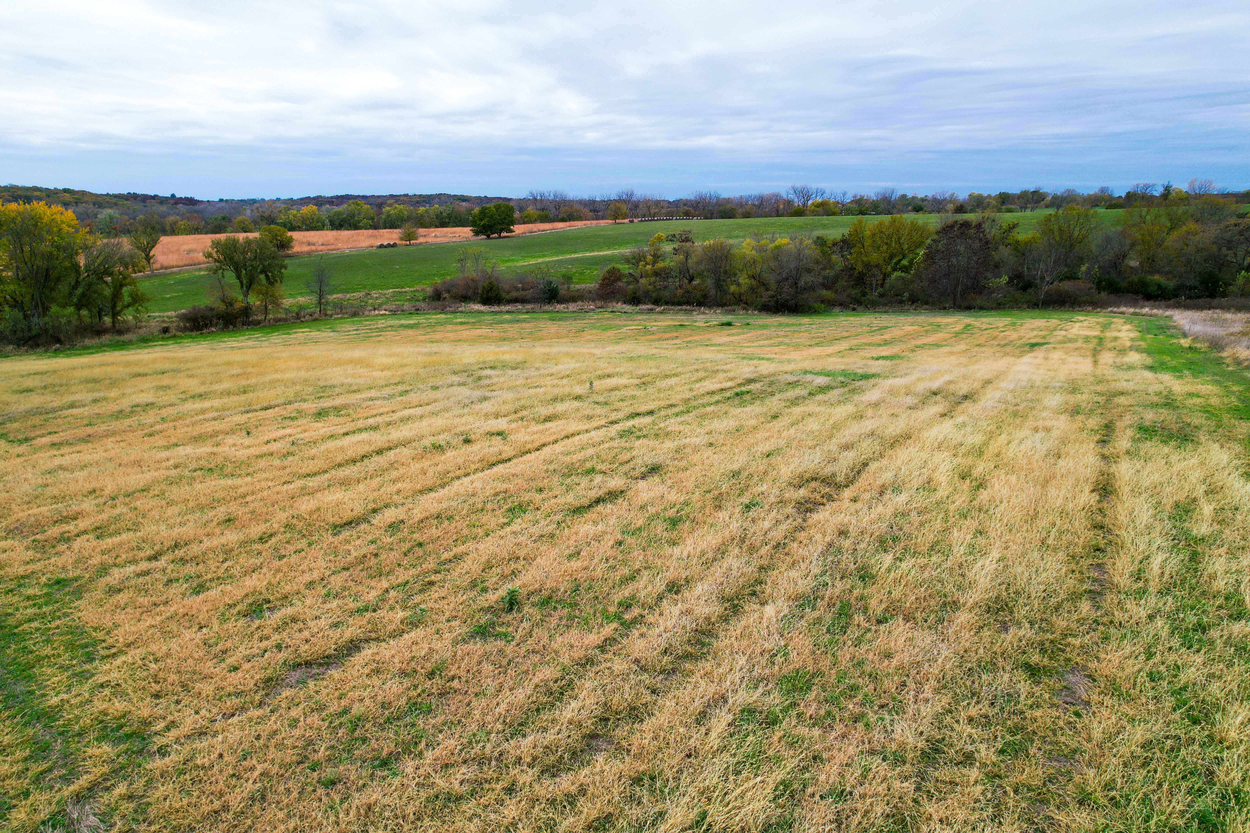 Listing Photo: Photo Oct 27 2025, 2 13 58 PM